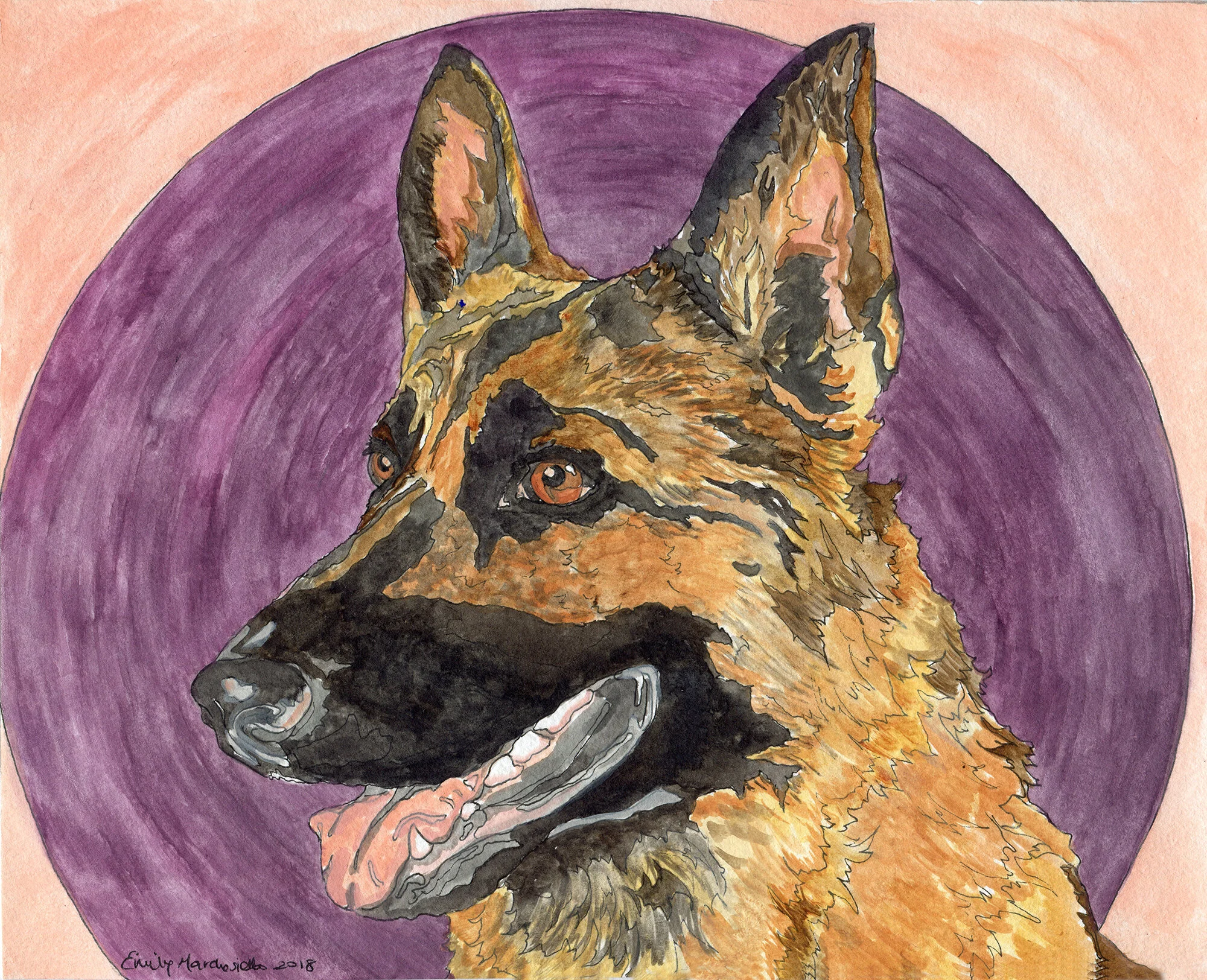 GermanShepherdPurple_200DPI.jpg