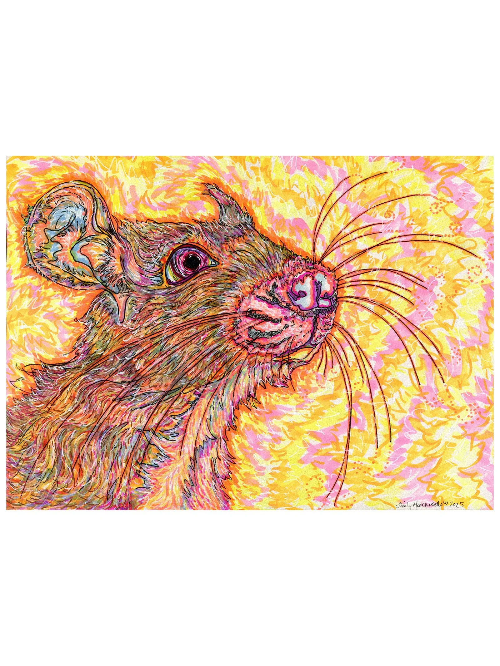 MightyMouse 34 copy.jpg