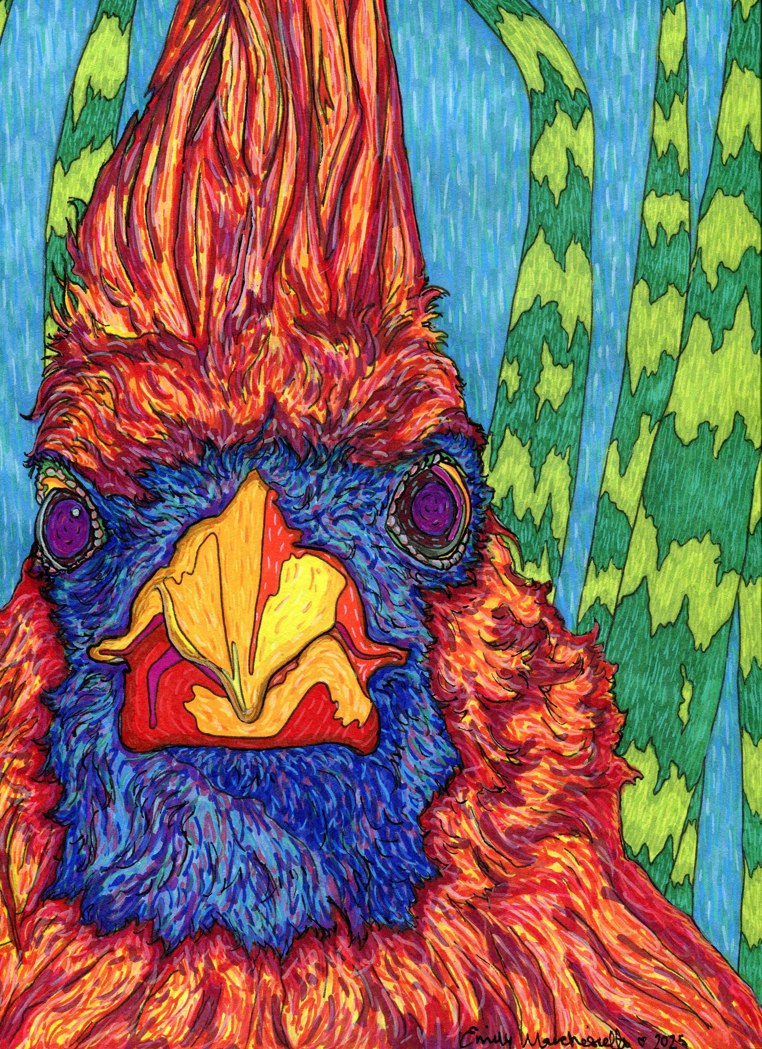 FieryCardinal_9x12_300DPI.jpg