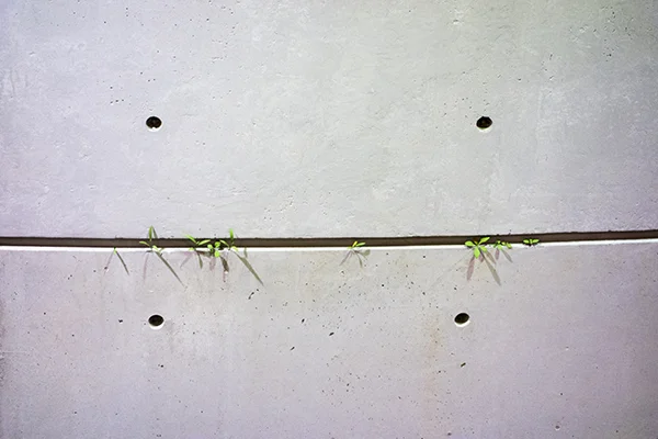 Naoshima26.jpg