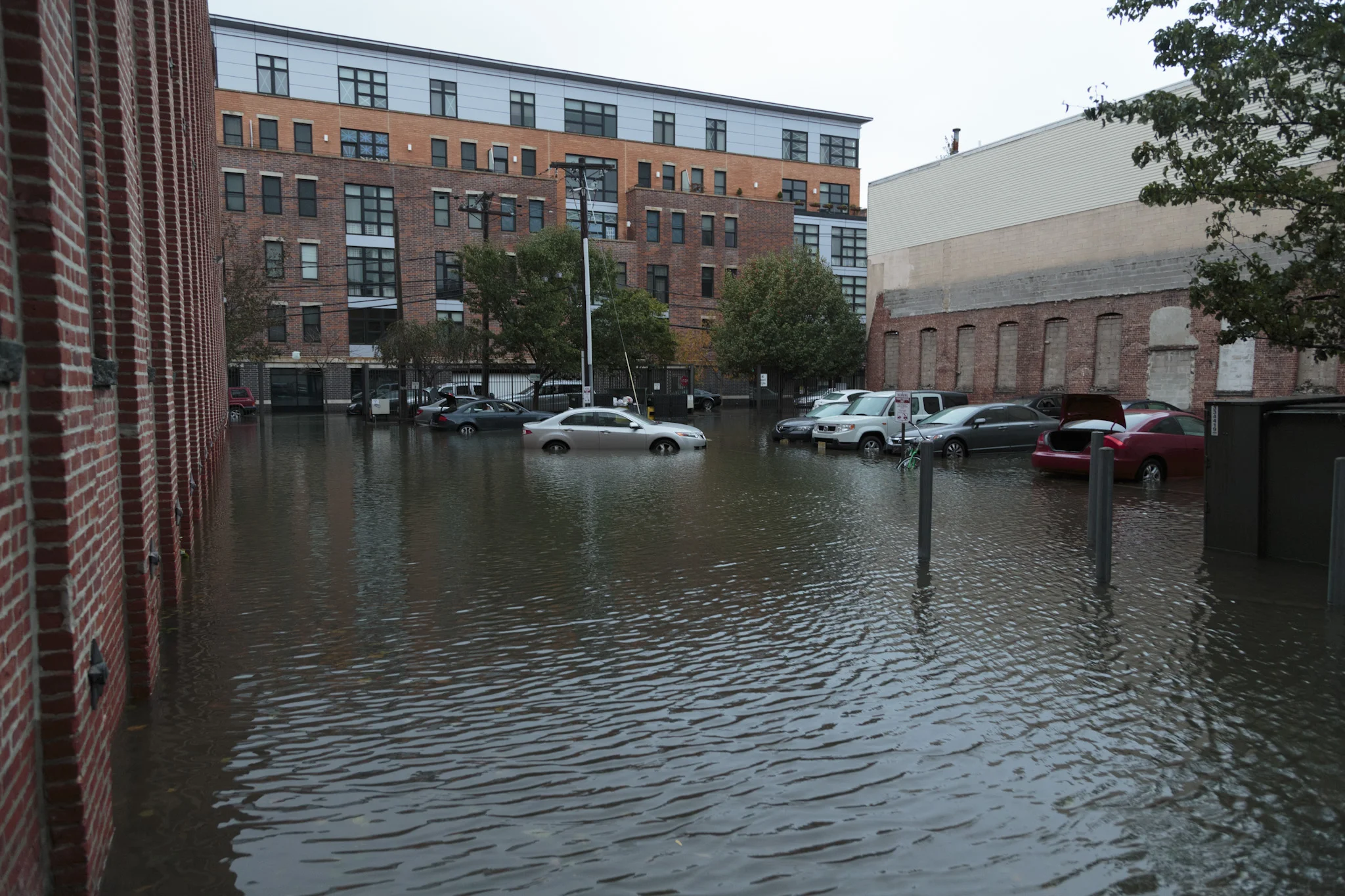 Sandy-04.jpg