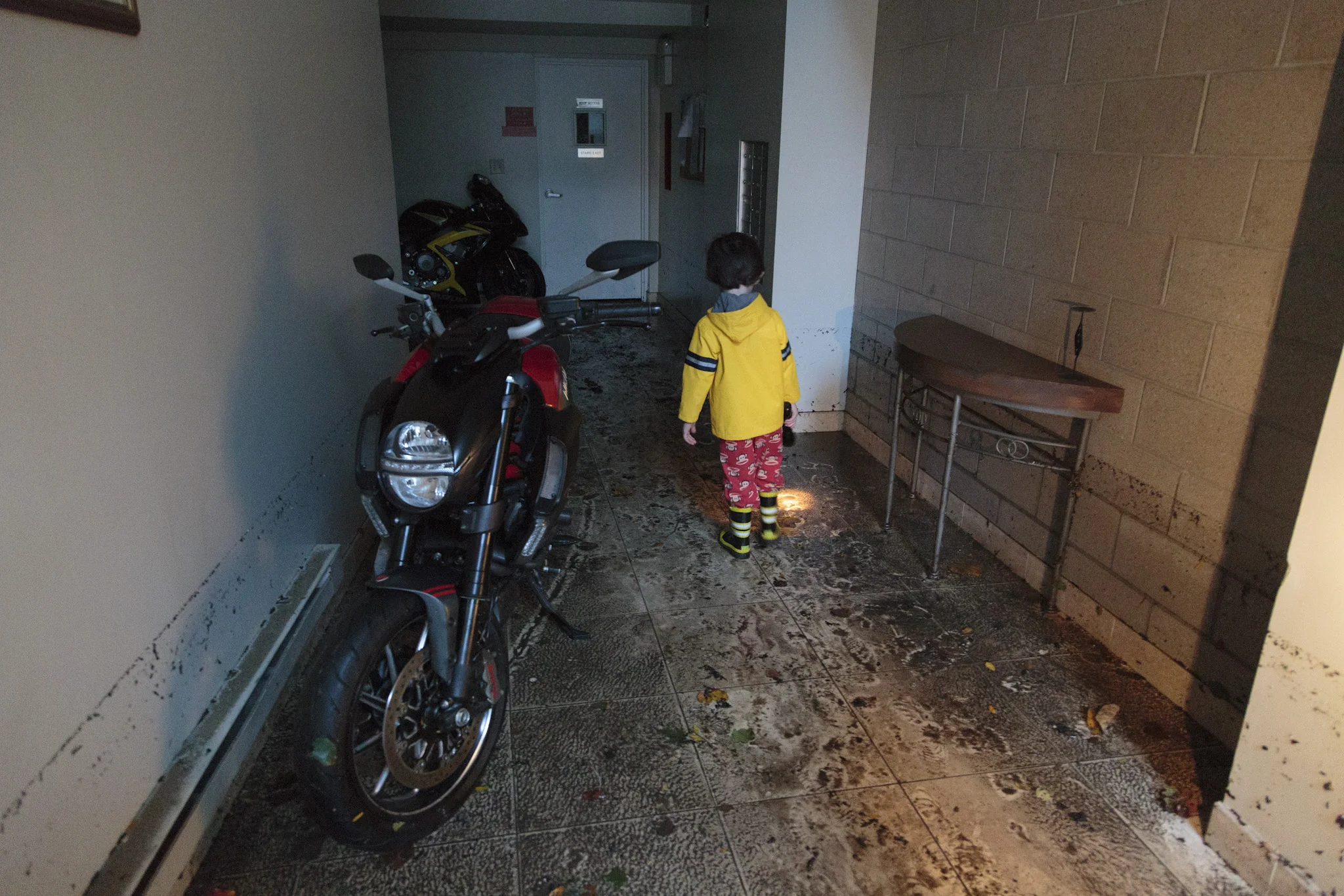 Sandy-09.jpg