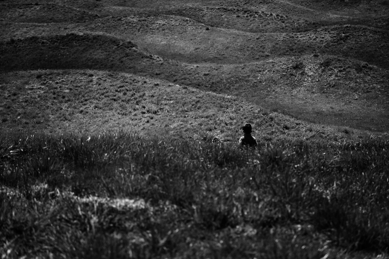 Blog — Peter Jennings: Director / DP / Photographer