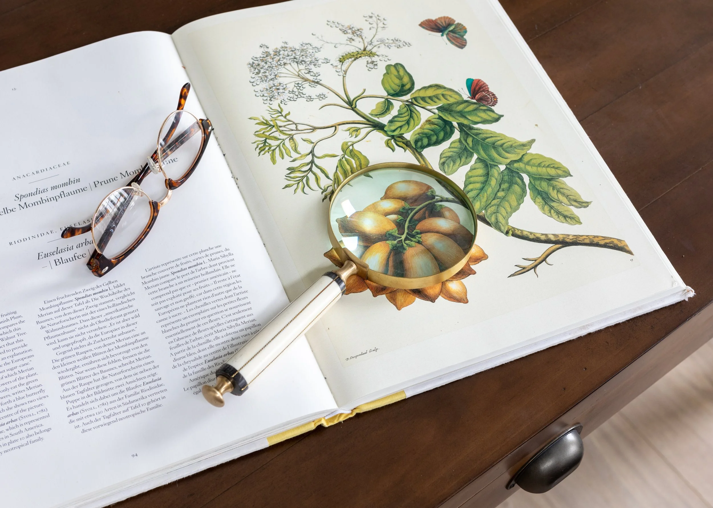 Magnifying Glass 2.JPG