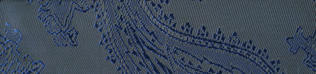 Blue Paisley