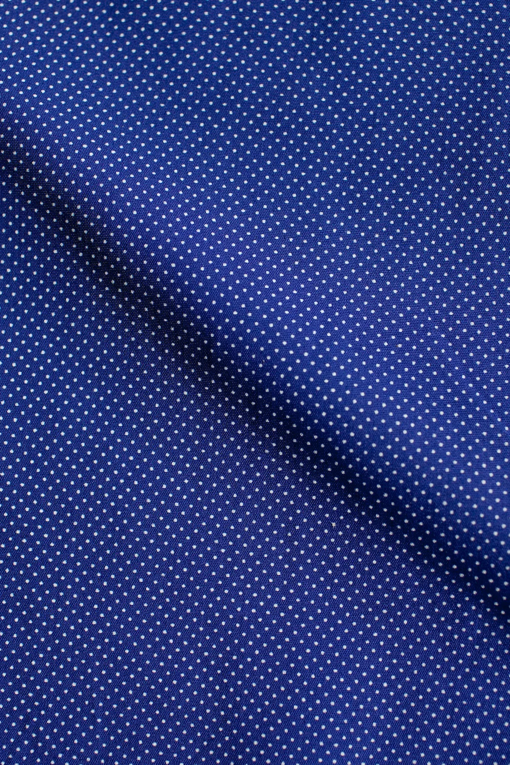 Royal Blue Micro Dot