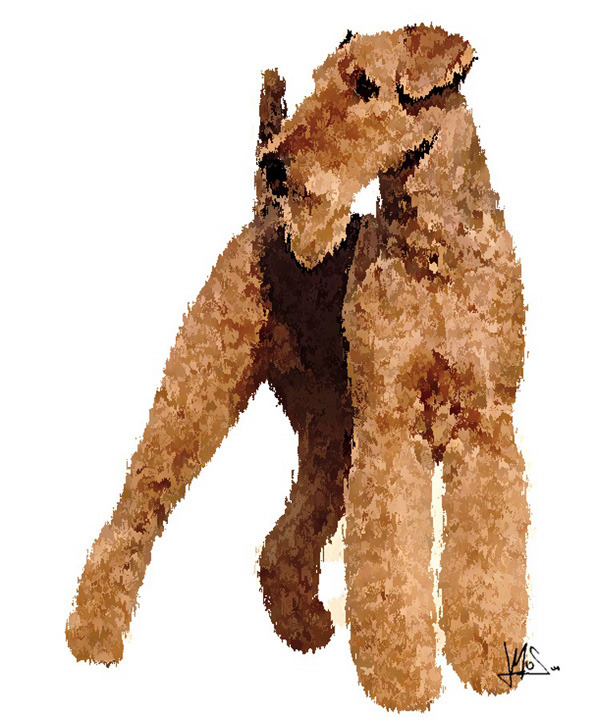 airedale.jpg