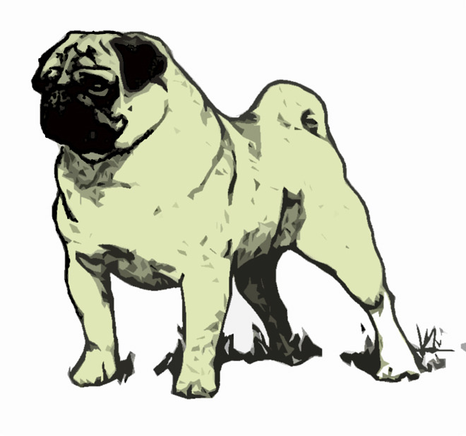 pugg.jpg