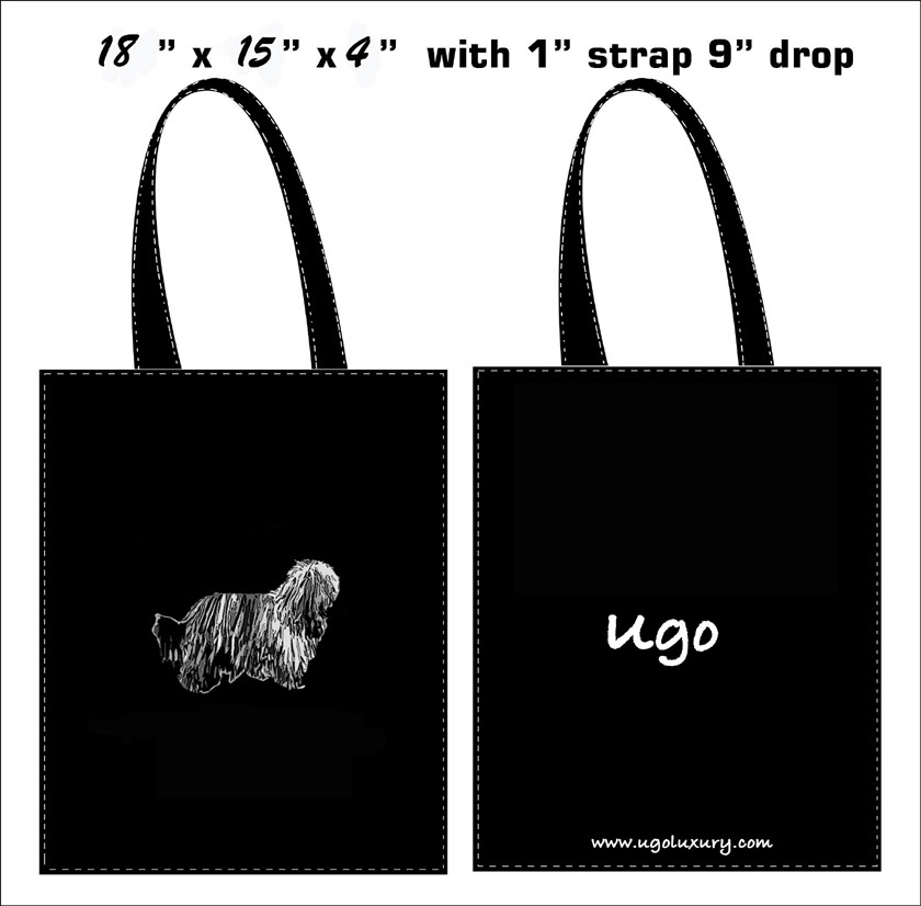 bag 2 copy2.jpg