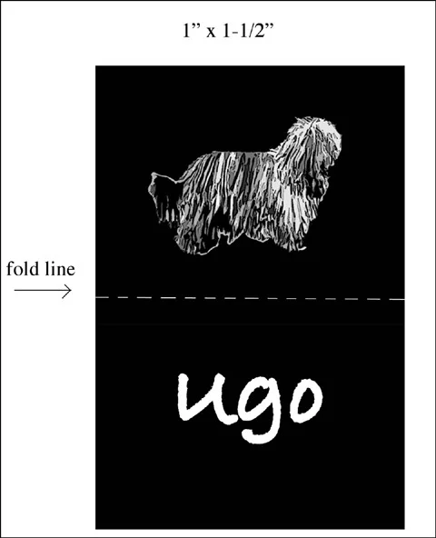 label measurments.jpg