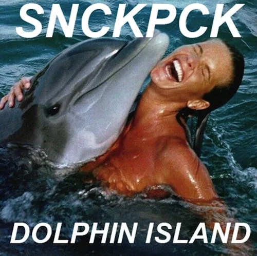dolphin island.jpg