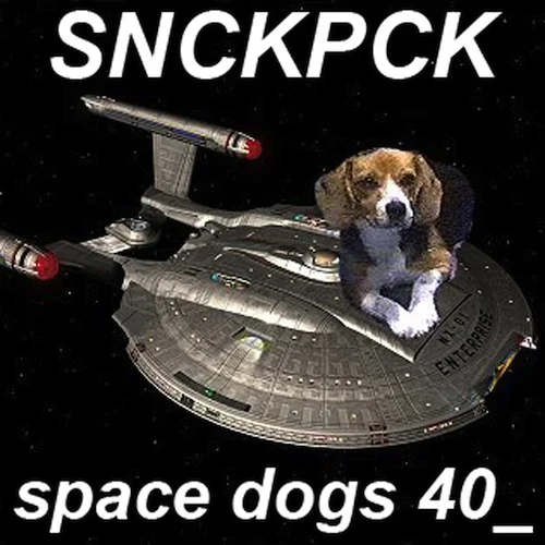 space dogs.jpg