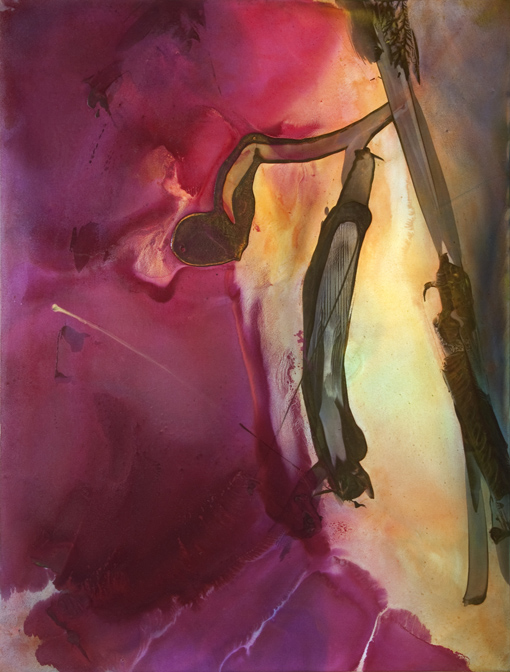 Claire Anna Baker "i"