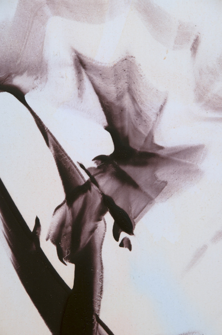 Claire Anna Baker "Flash" (Detail)