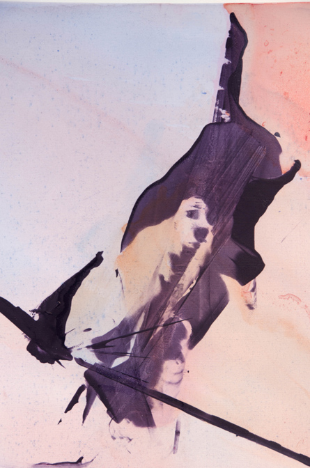 Claire Anna Baker "Fighter Flight" (Detail)