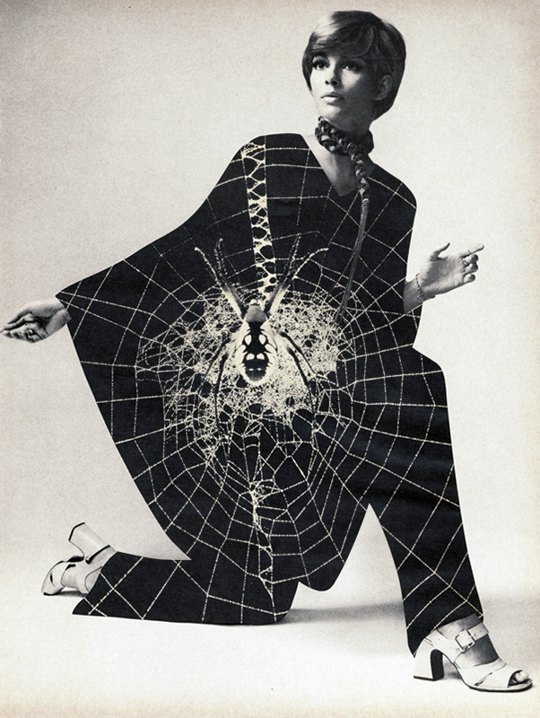  Black Widow In Disguise | Amy Maloof