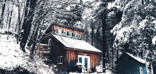  The Cabin / Felicia Sullivan