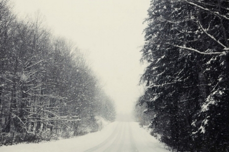  The Drive to the Cabin / Felicia Sullivan