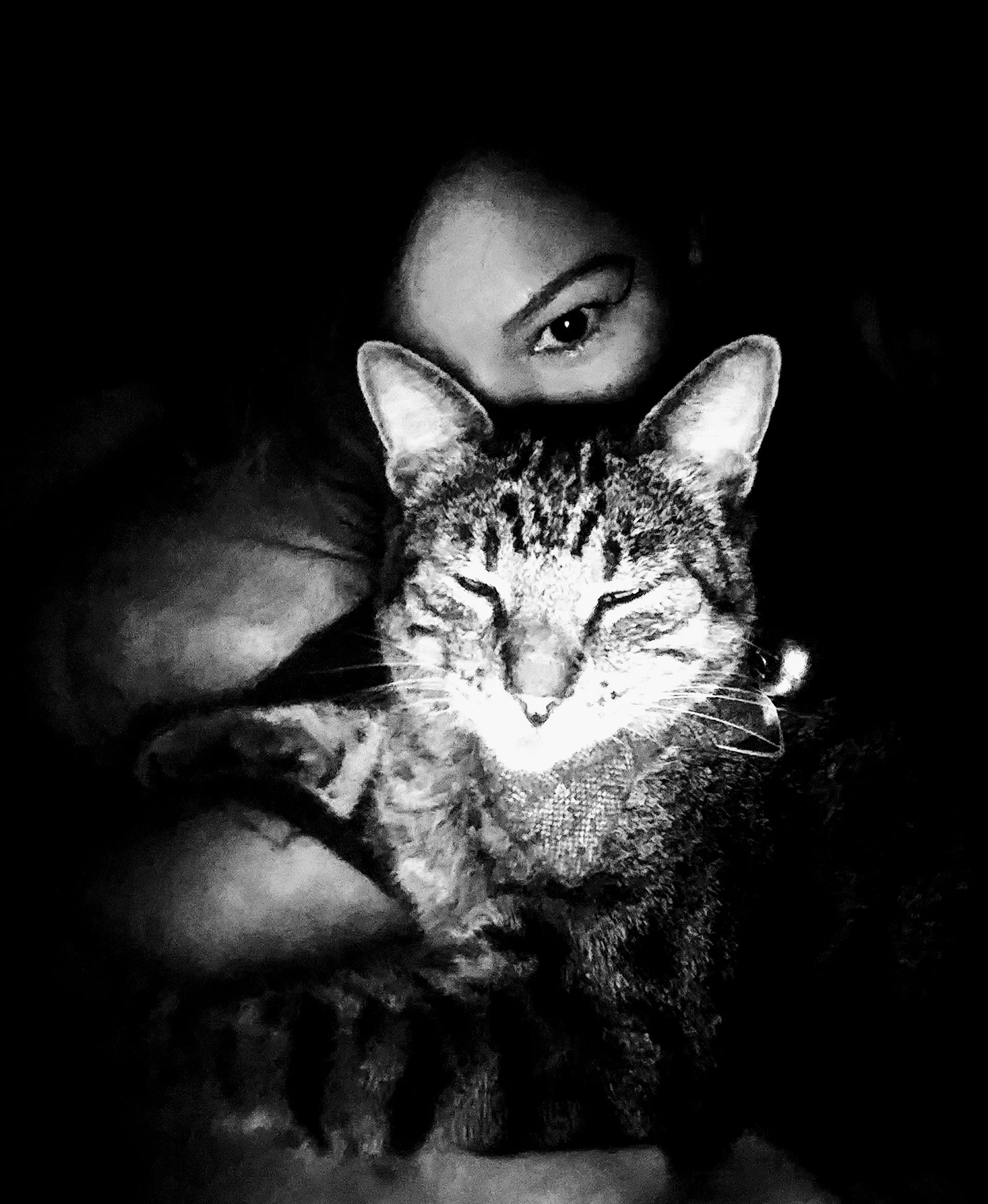 kitty anarchy pic.jpg