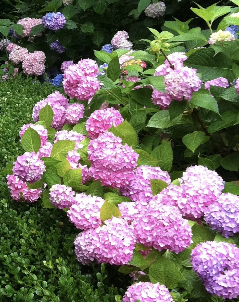 How to Capitalize on Spring to Attract Love