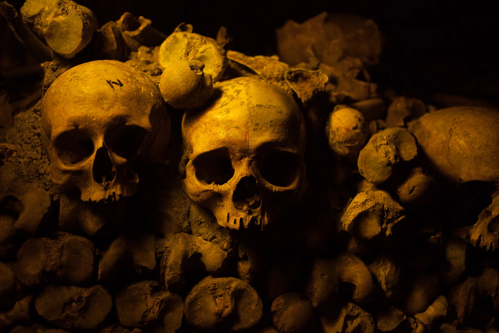 The Catacombs of Paris
