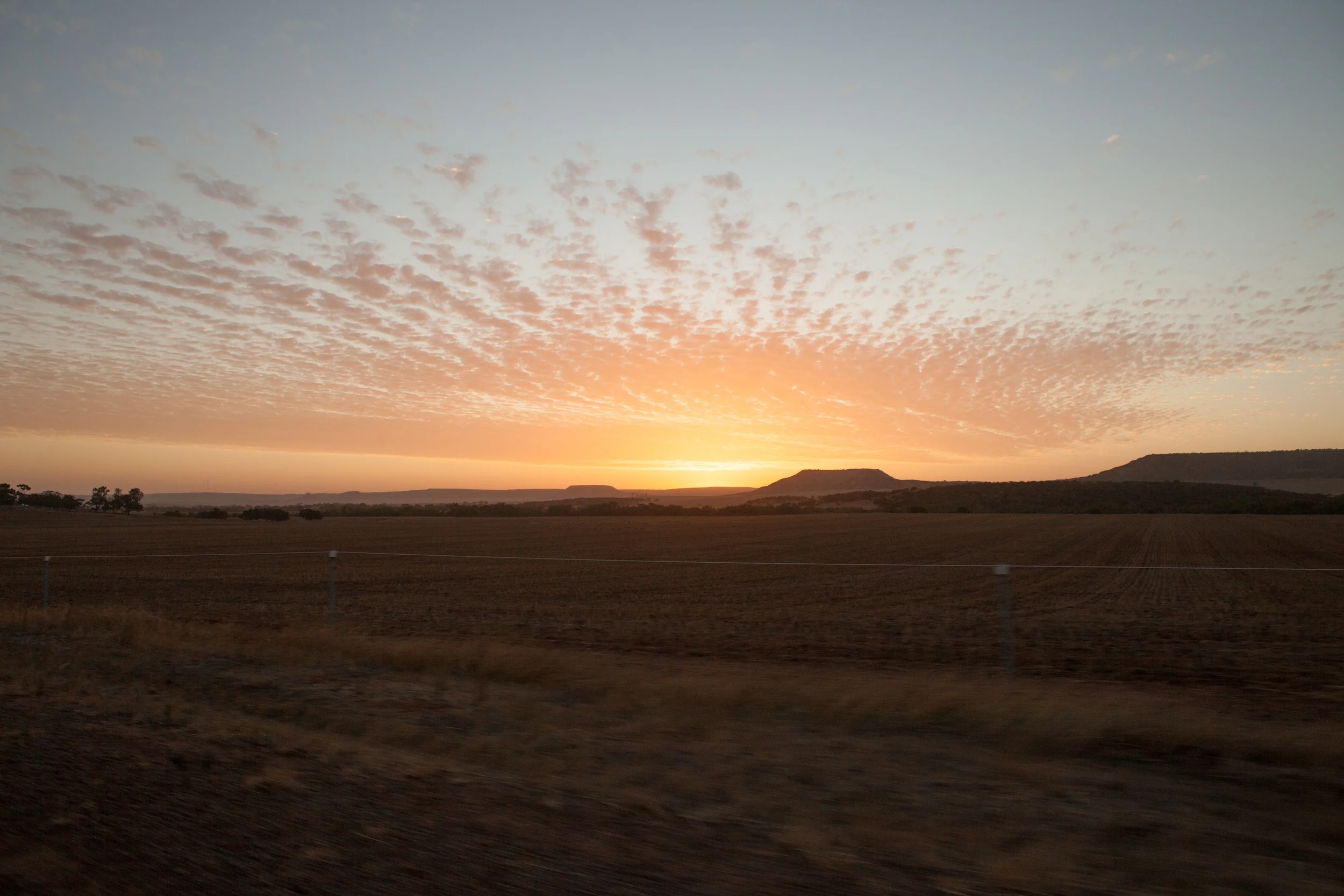 Christmas in Western Australia