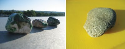 rock_frogs2.jpg