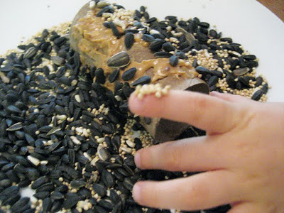birdseed2.jpg