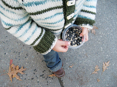 birdseed_01.jpg