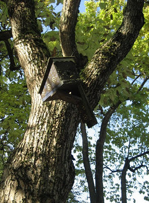 birdhouse2.jpg