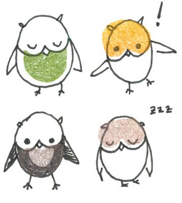 owl3.jpg