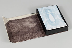 the-wild-swans-box-3-lg.jpg