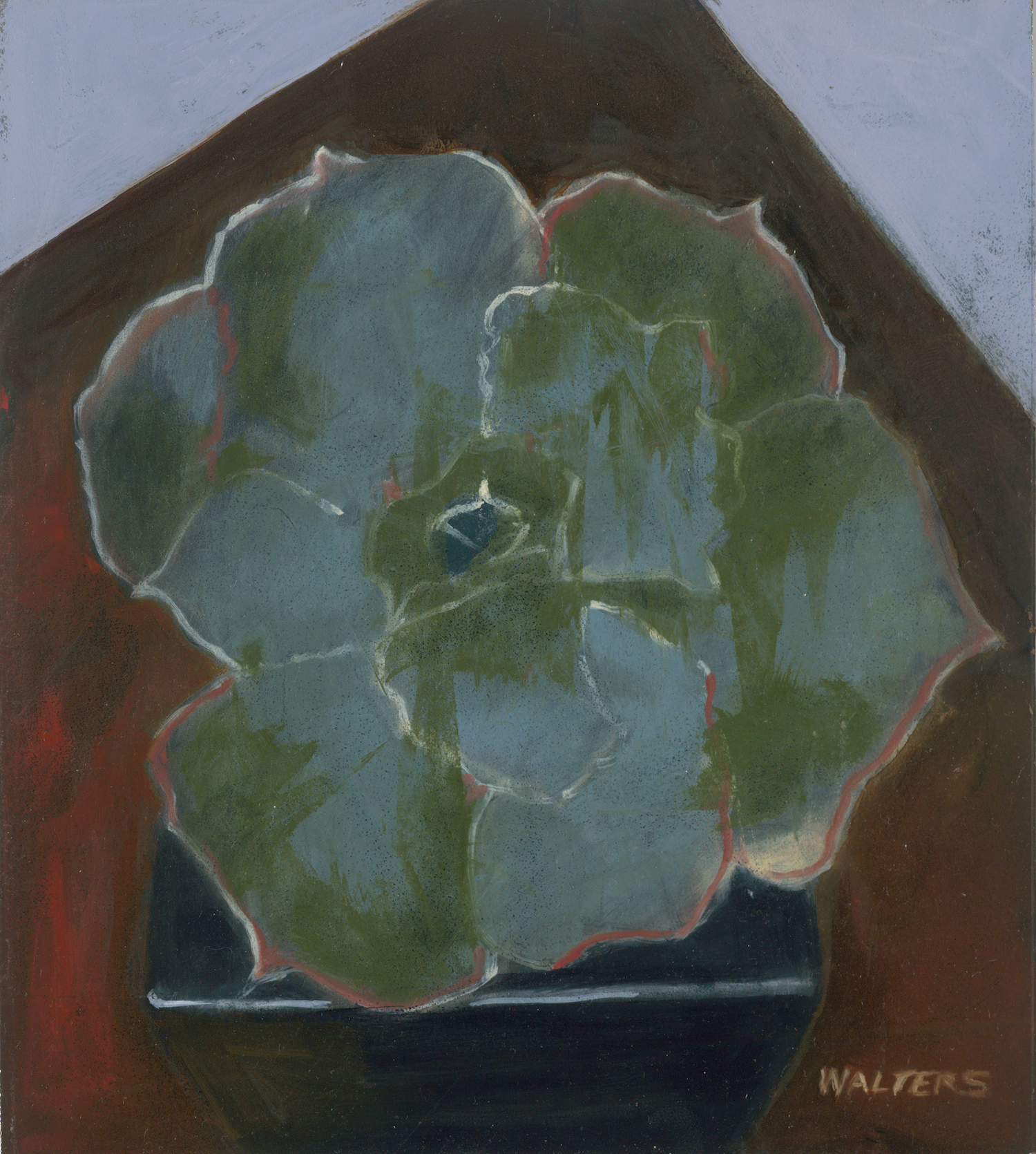 Succulant 1 med res.jpg