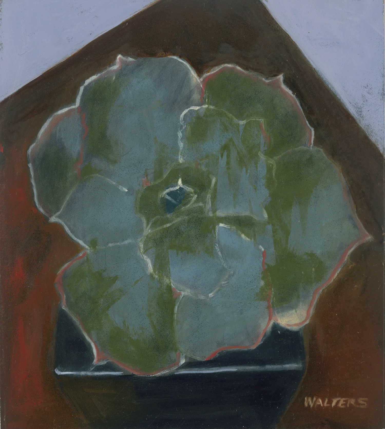 Succulant 1 med res.jpg