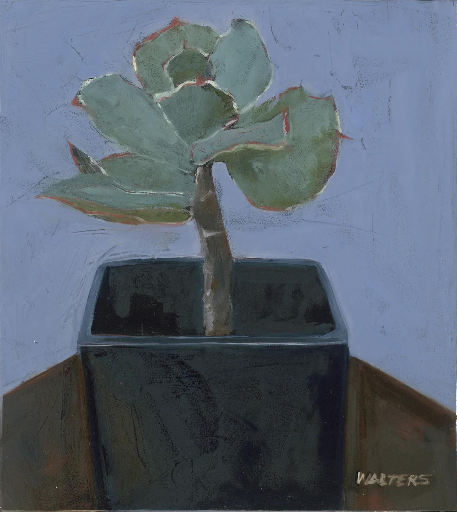 Succulant 2 med res.jpg