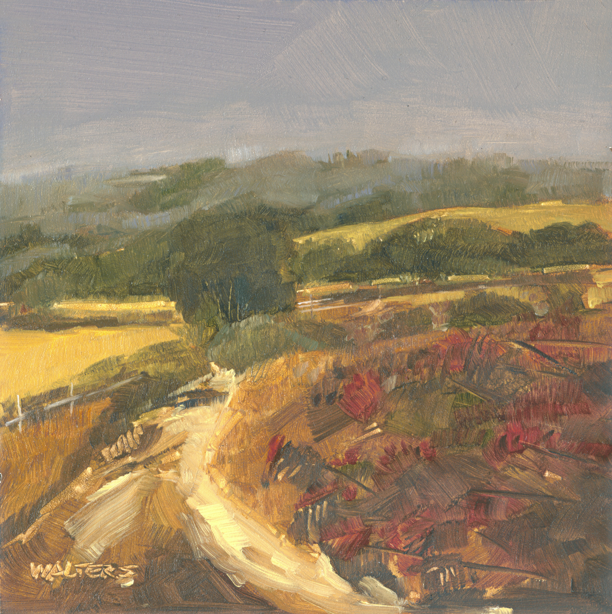 Napa Vineyard view.jpg