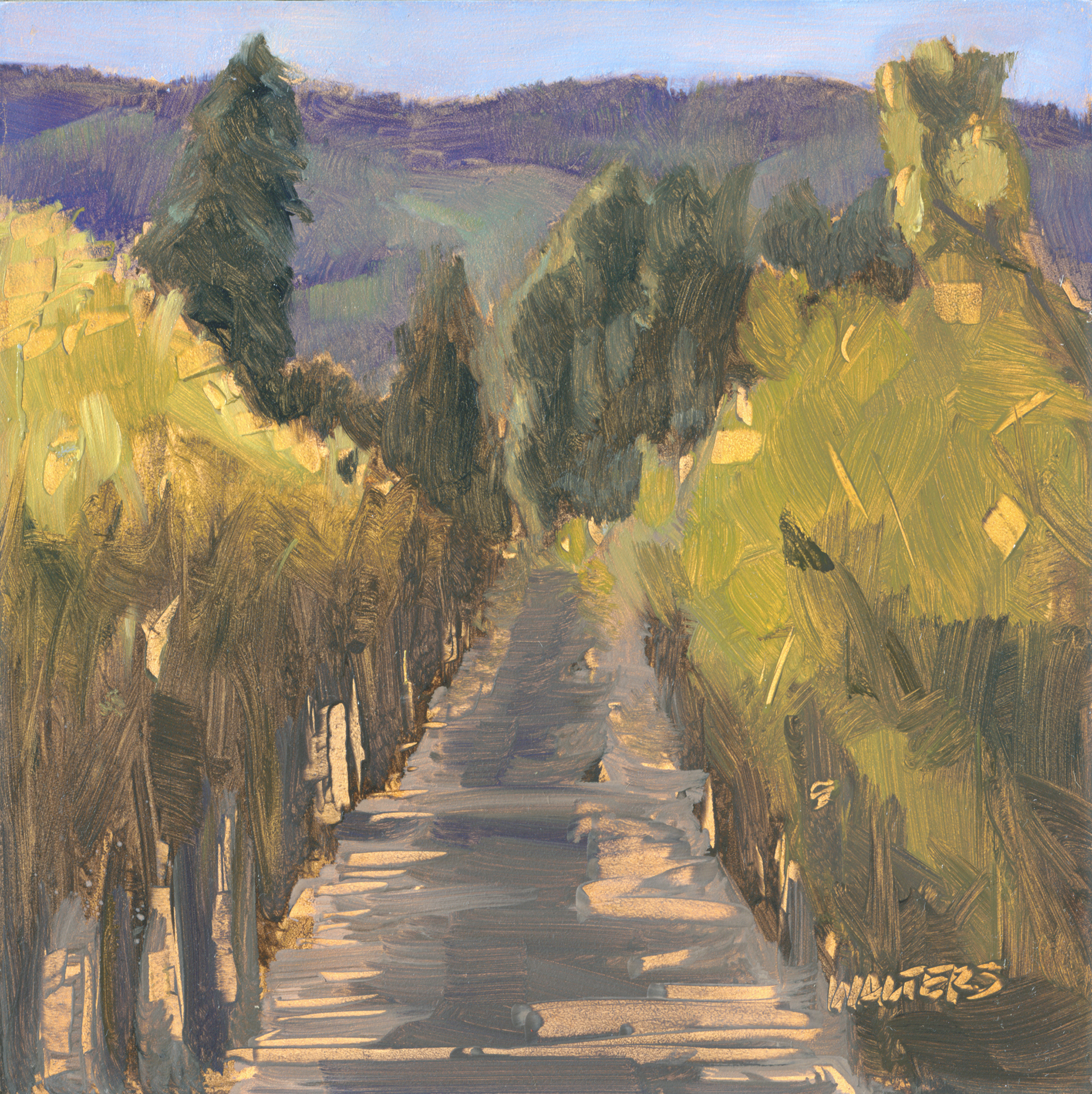 In the Vineyard.jpg