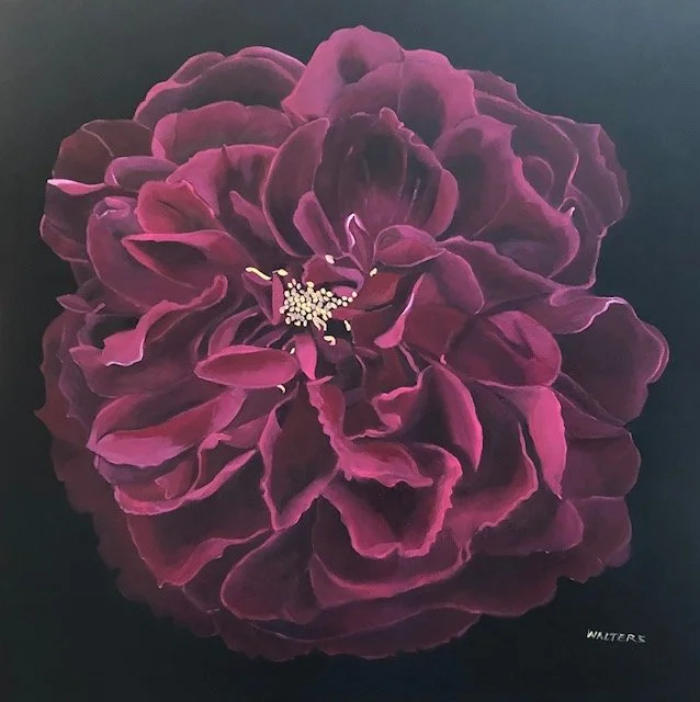 Red, Red Rose.jpg