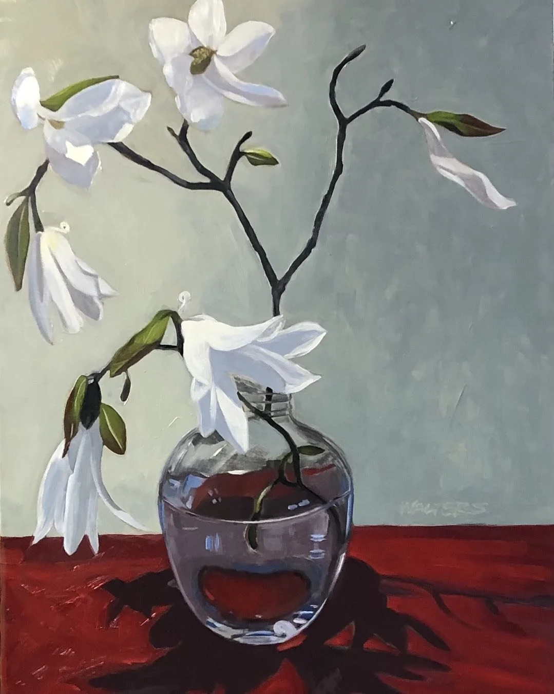 Magnolia Blossoms.jpg