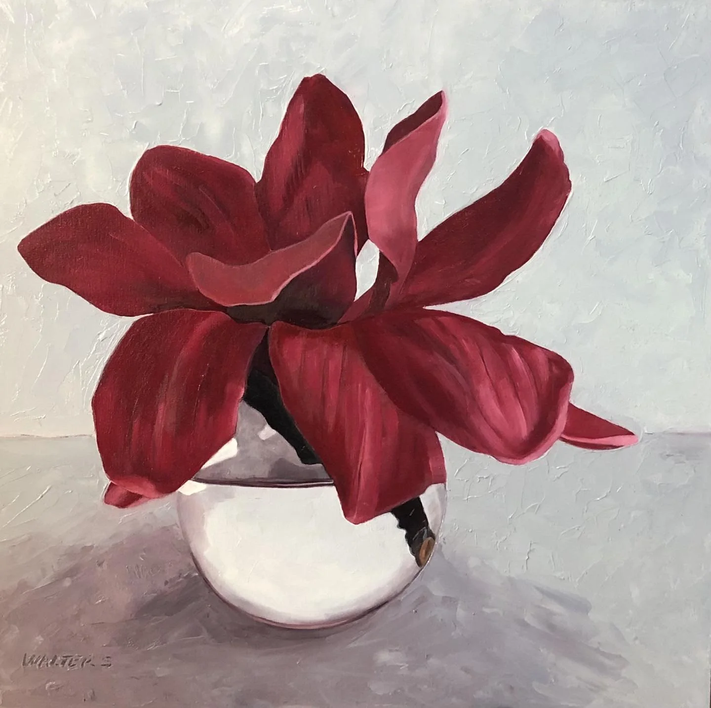 Red Magnolia.jpg