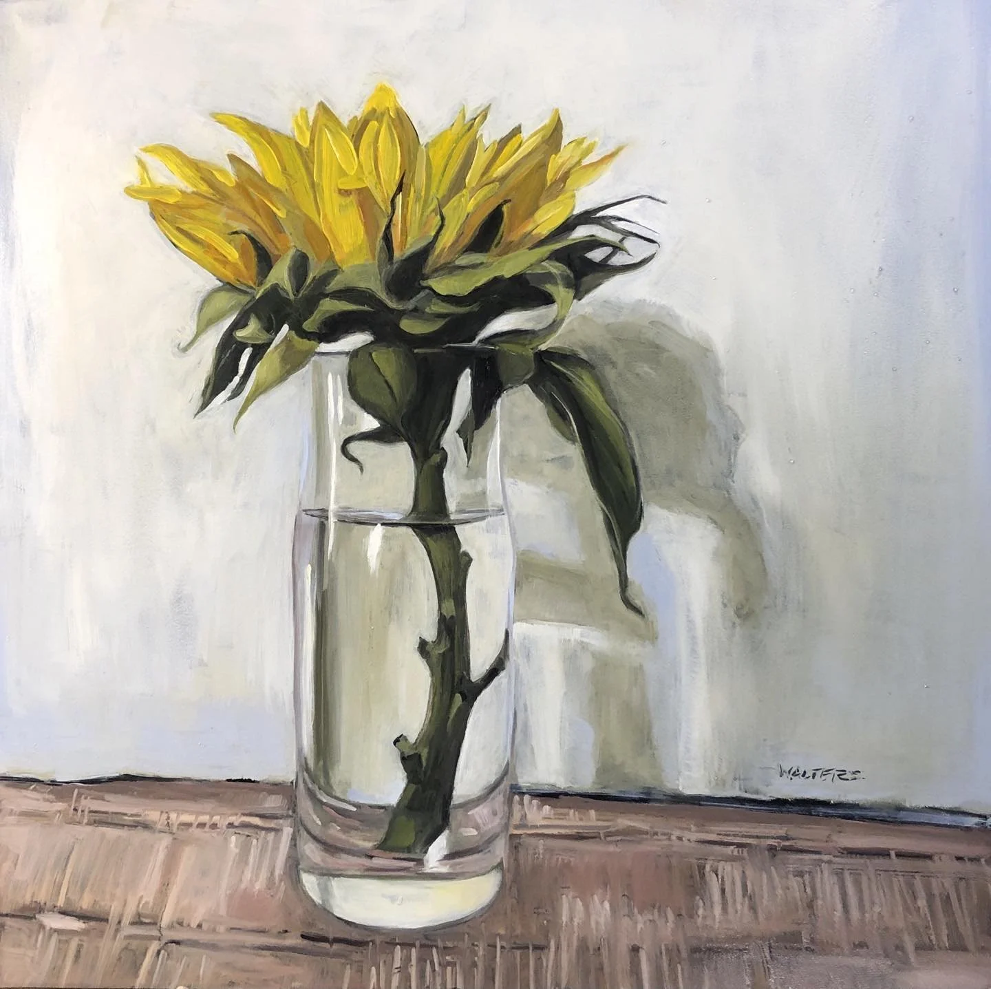 Sunflower.jpg