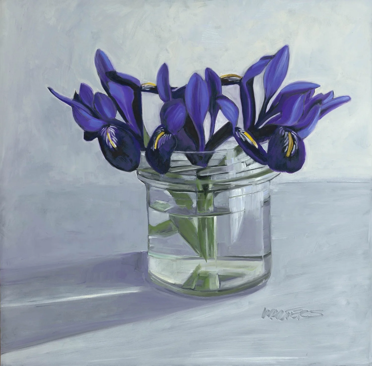 Walters Minature Iris (2) 1900.jpg