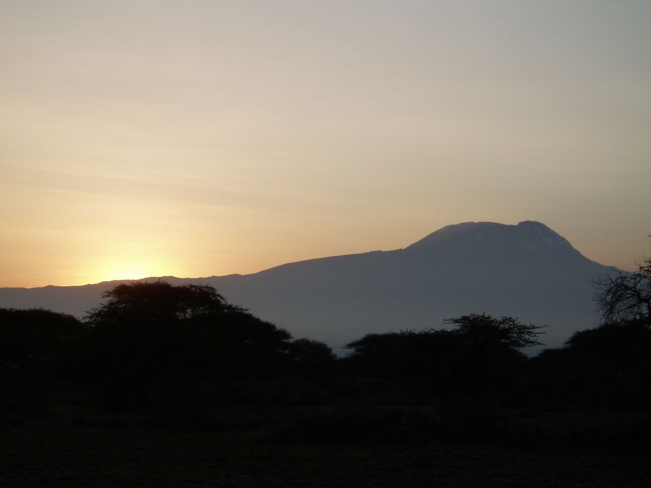 Kilimanjaro from Ngasurai plains