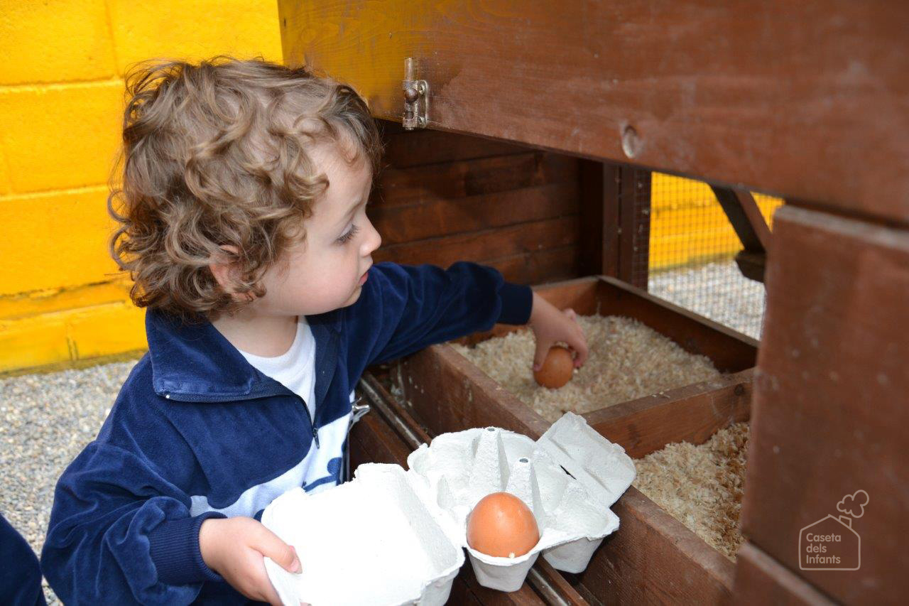 La_Caseta_dels_infants_gallines2_2013_031.jpg