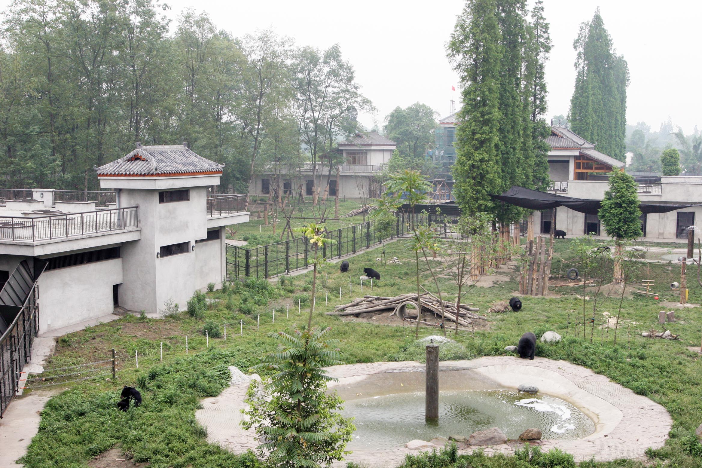Animals Asia Moon Bear Sanctuary, Animals Asia