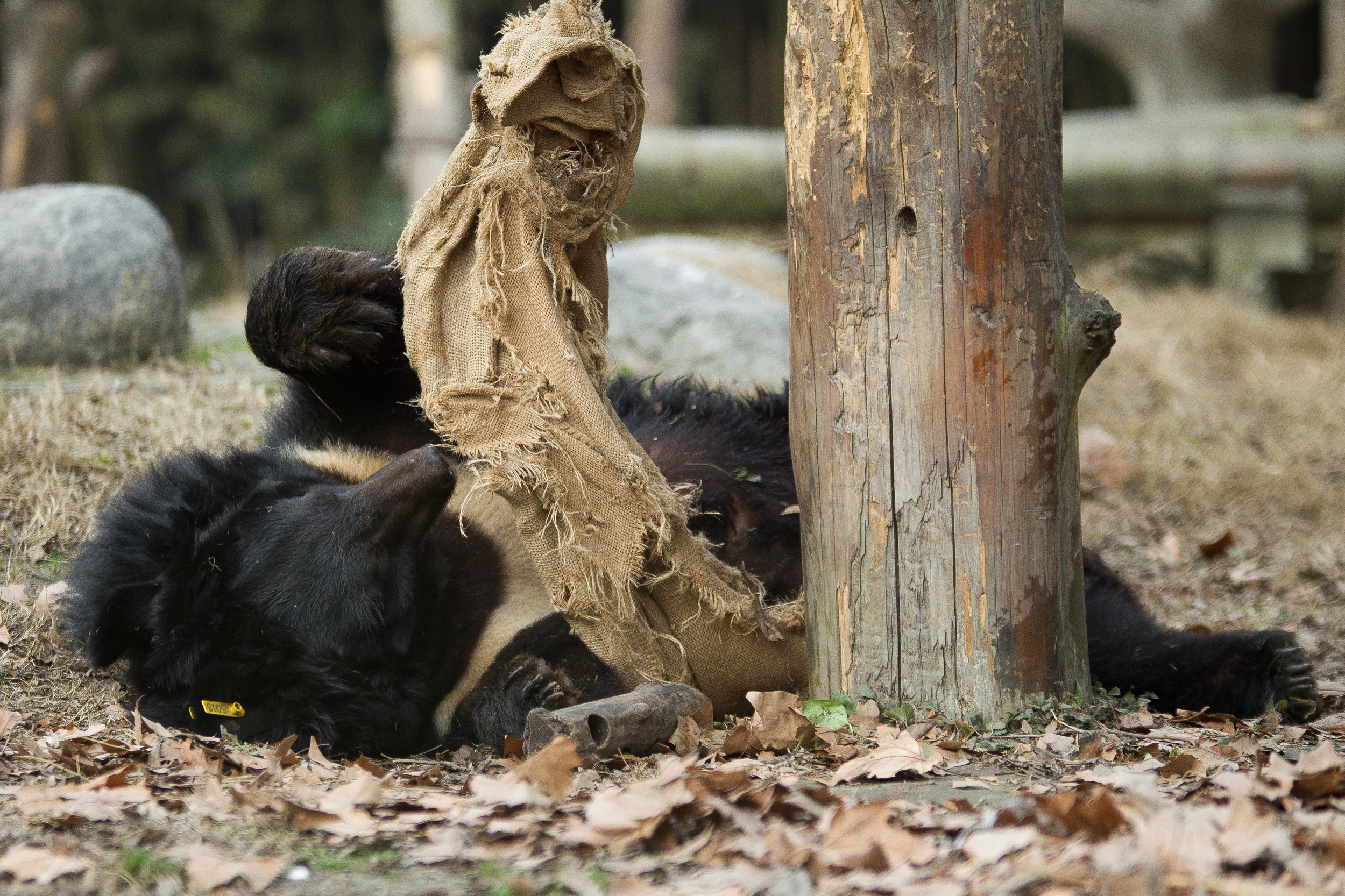 photo by Peter Yuen
