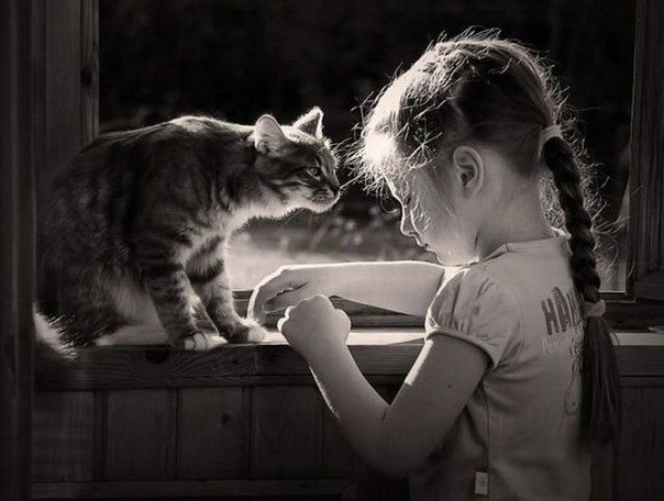 Our animals see who we are, and can help us reclaim who we are.