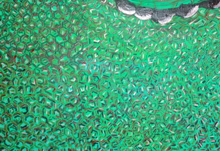 Eeys Series Chameleon Detail