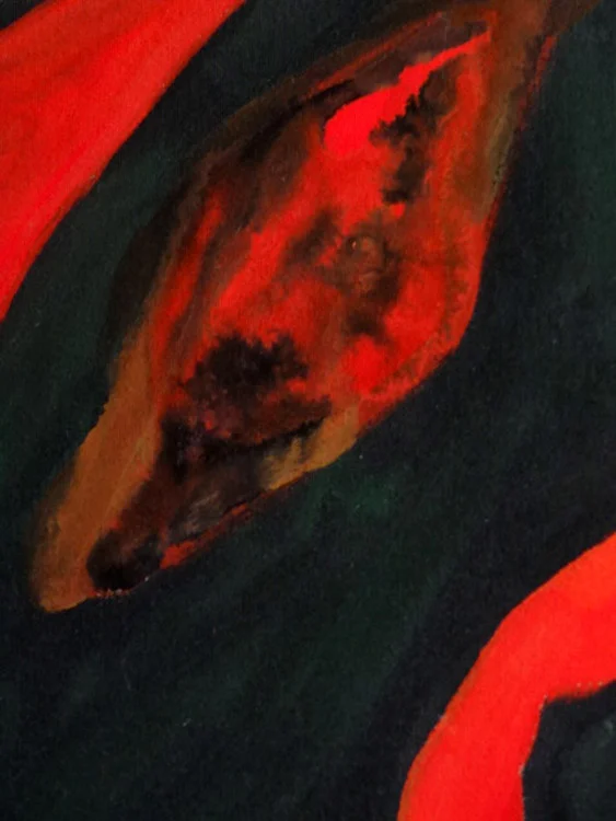 eyes Series Scorpion Fish Detail