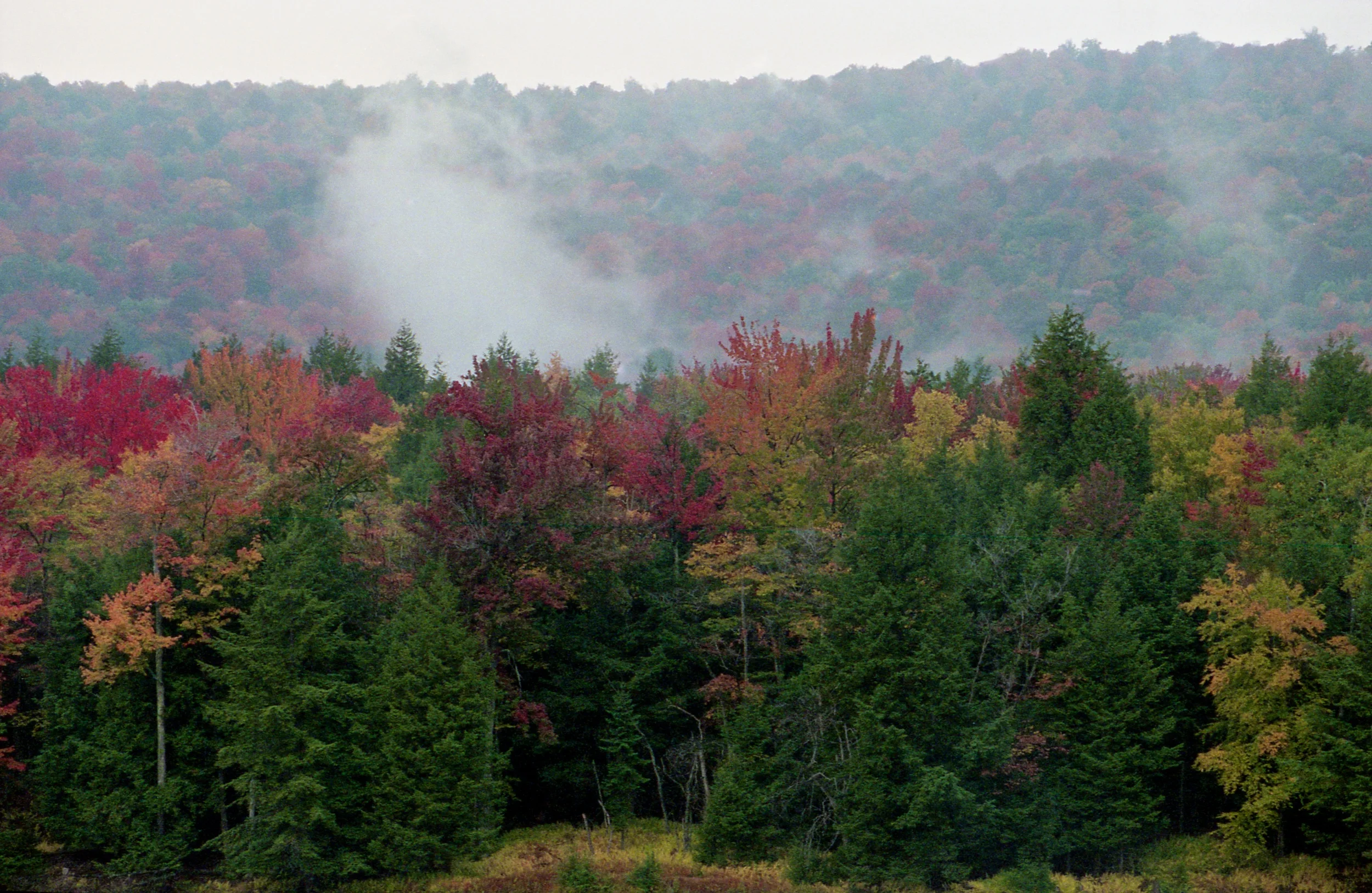 FALL IN THE CATSKILLS
